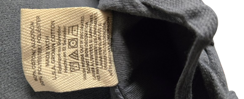 Comfort Wash by Hanes Graphic Fleece Hoodie